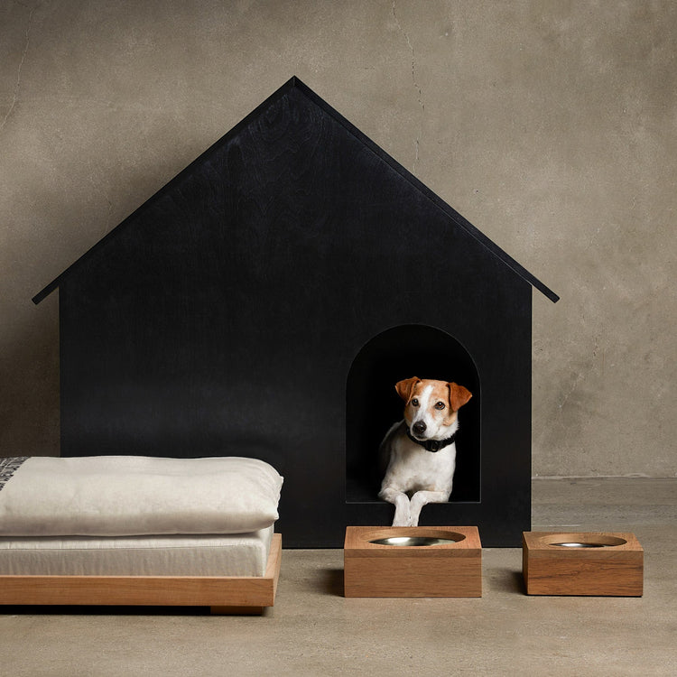 Teak Dog Bowl in Teak | James Perse Los Angeles
