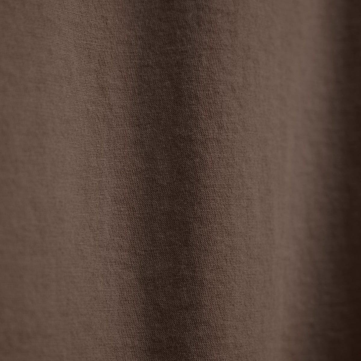 Luxe Lotus Jersey Crew in Caribou | James Perse Los Angeles FLAT