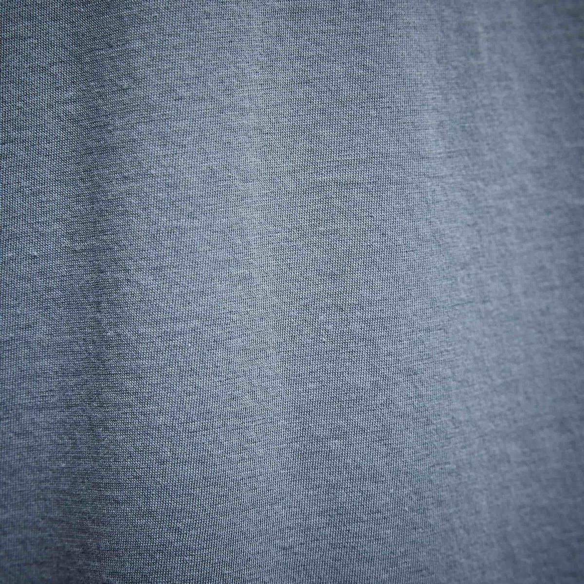 Luxe Lotus Jersey Polo in Globe | James Perse Los Angeles