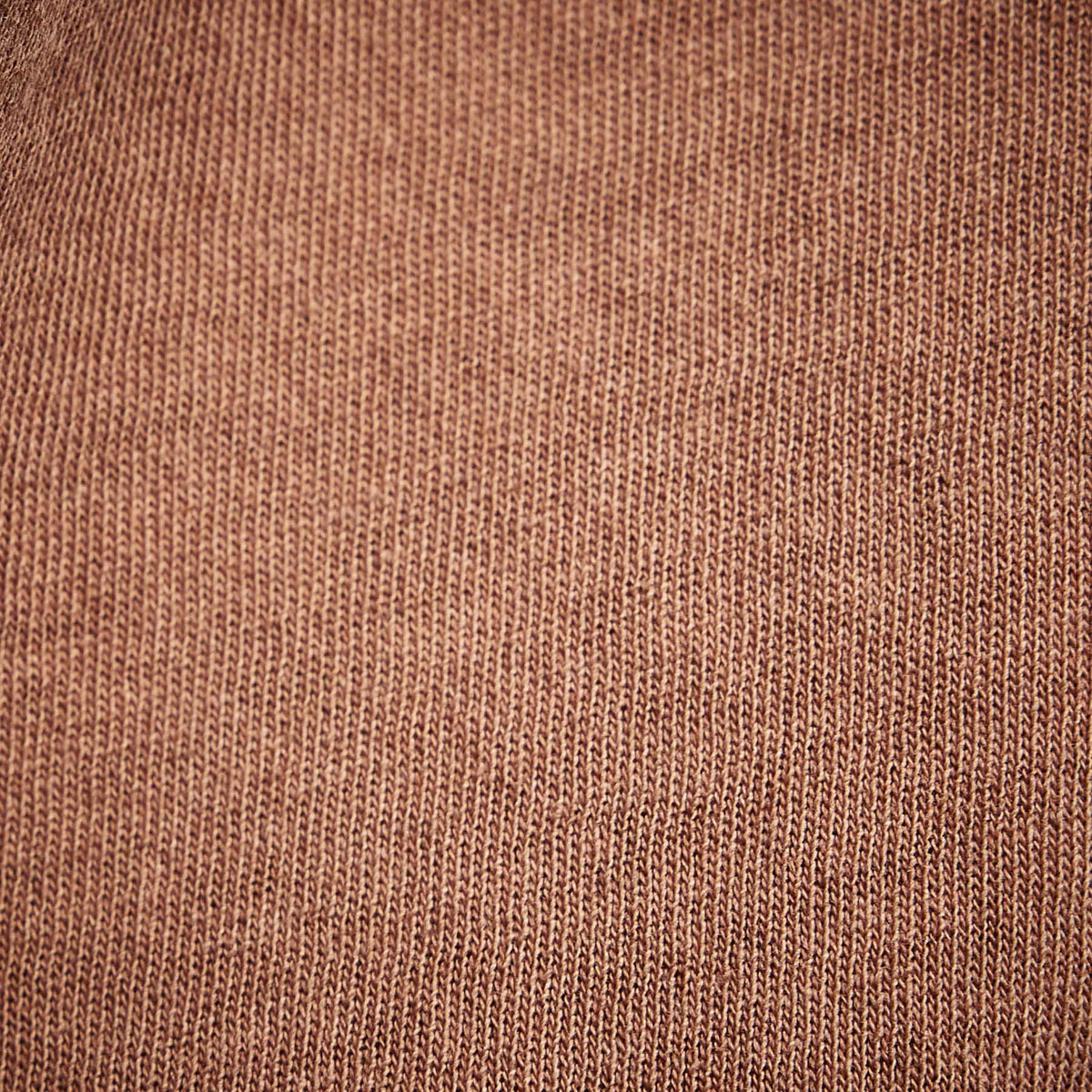 Clear Jersey Crew in Nutmeg Pigment | James Perse Los Angeles