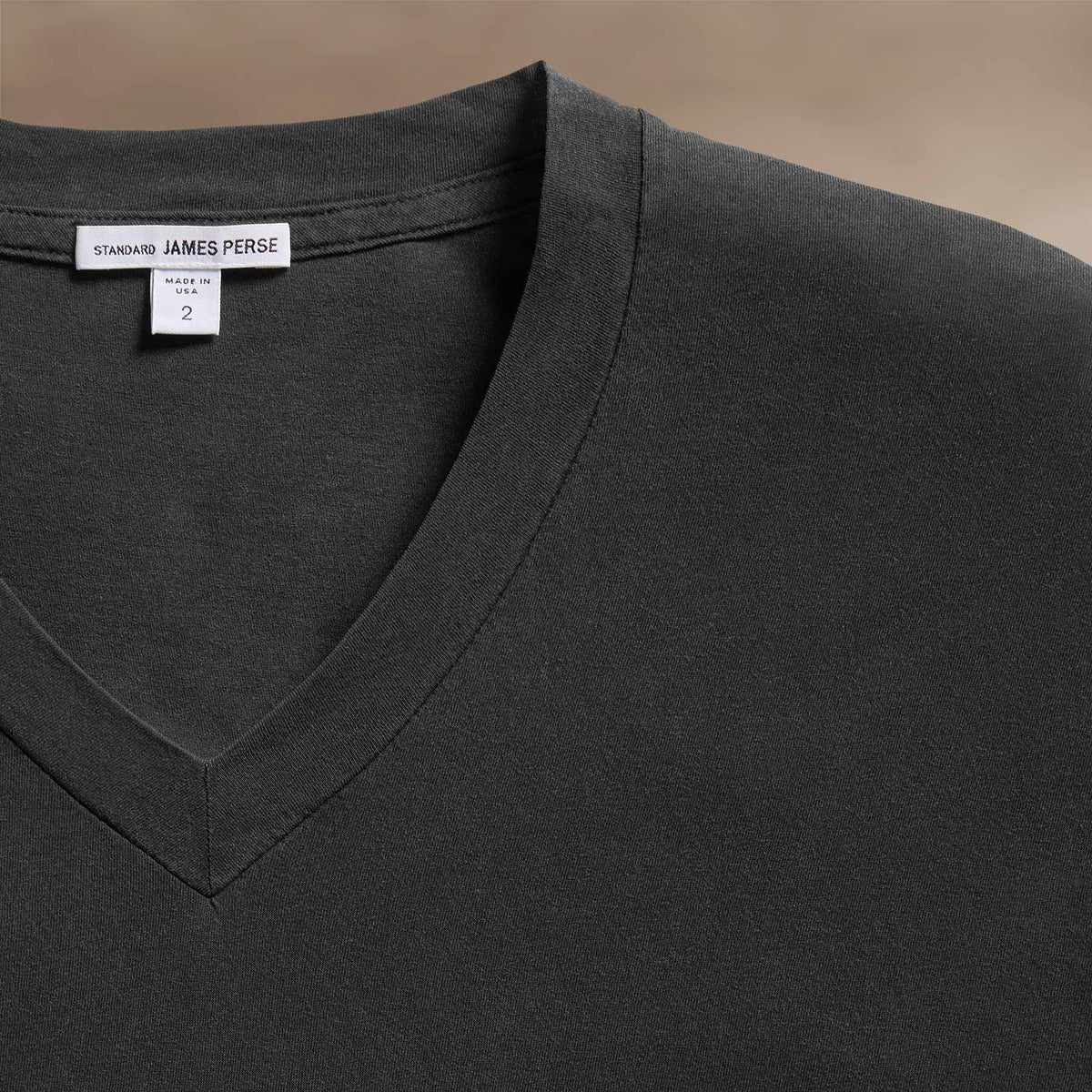 Clear Jersey V Neck in Carbon Pigment | James Perse Los Angeles FLAT