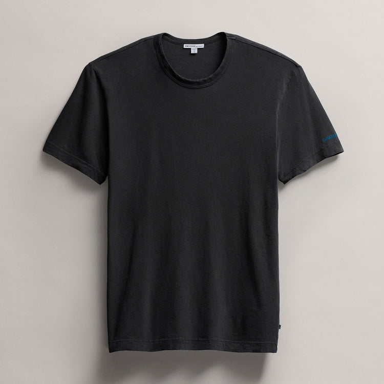 Men's Grateful Dead Gradient Bear in Carbon Pigment | James Perse Los Angeles