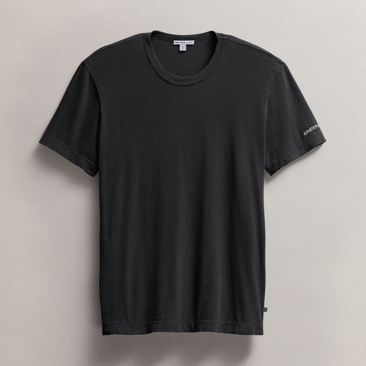 Men's Grateful Dead  Short Sleeve Tee in Carbon Pigment | James Perse Los Angeles