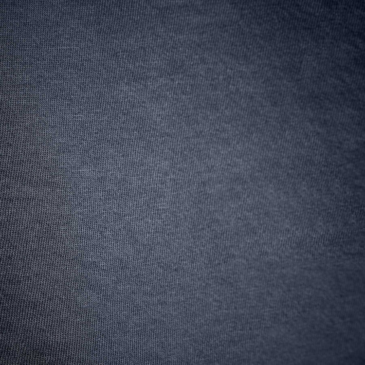 Short Sleeve Crew Palm Graphics in Blue Oil Pigment | James Perse Los Angeles 