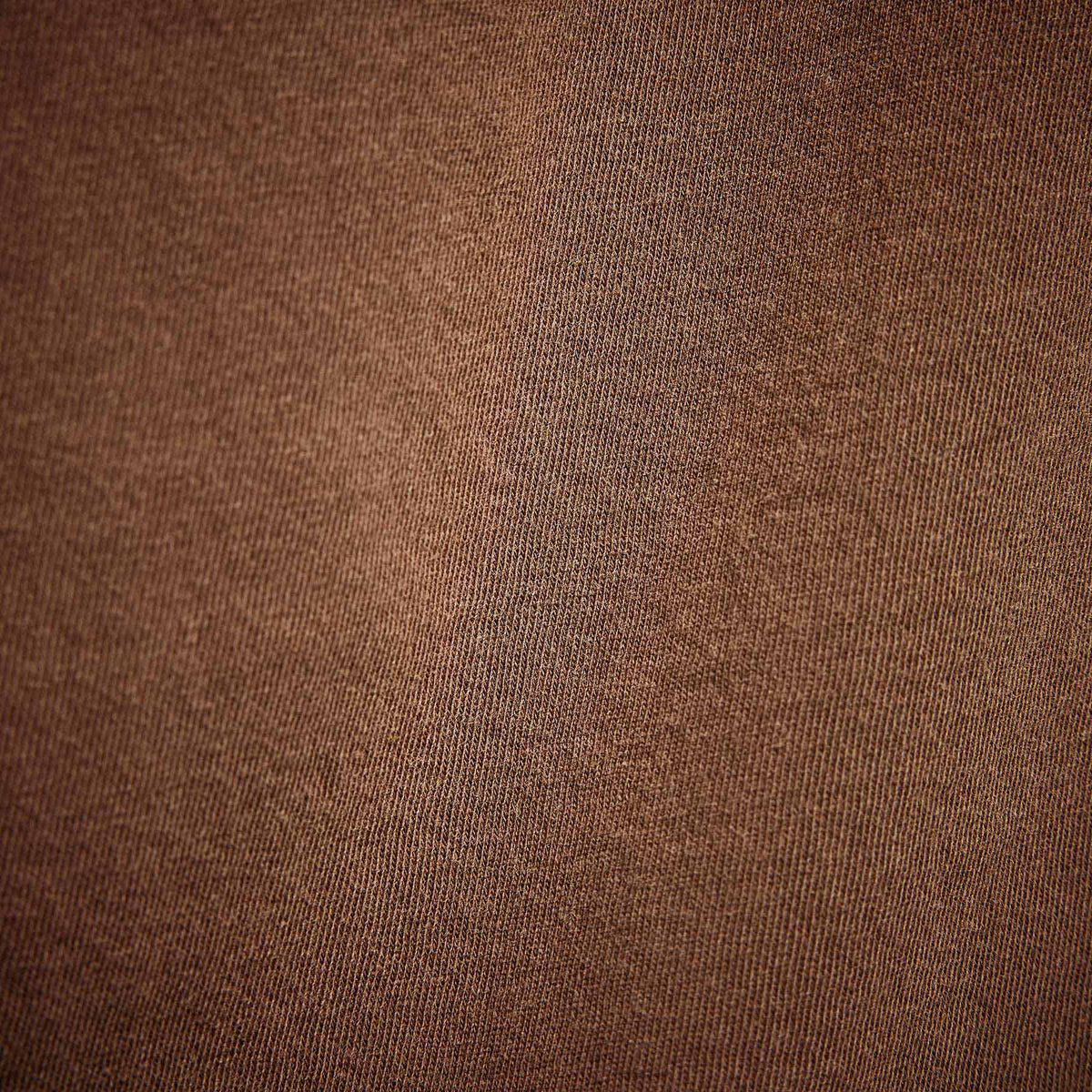 Short Sleeve Crew Palm Graphics in Gingerbread Pigment | James Perse Los Angeles 