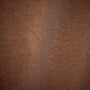 Short Sleeve Crew Palm Graphics in Gingerbread Pigment | James Perse Los Angeles 