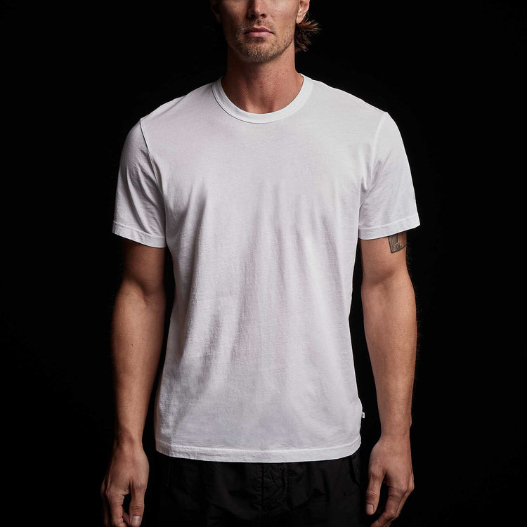 Short Sleeve Crew Palm Graphics in White | James Perse Los Angeles 