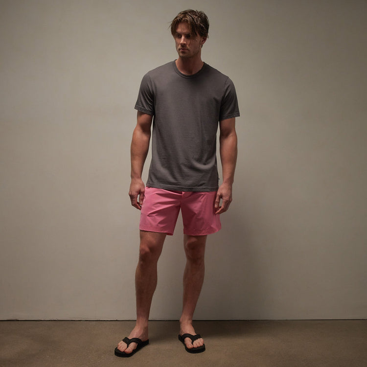 Short Sleeve Crew Palm Springs Graphic in Raccoon Grey/White | James Perse Los Angeles
