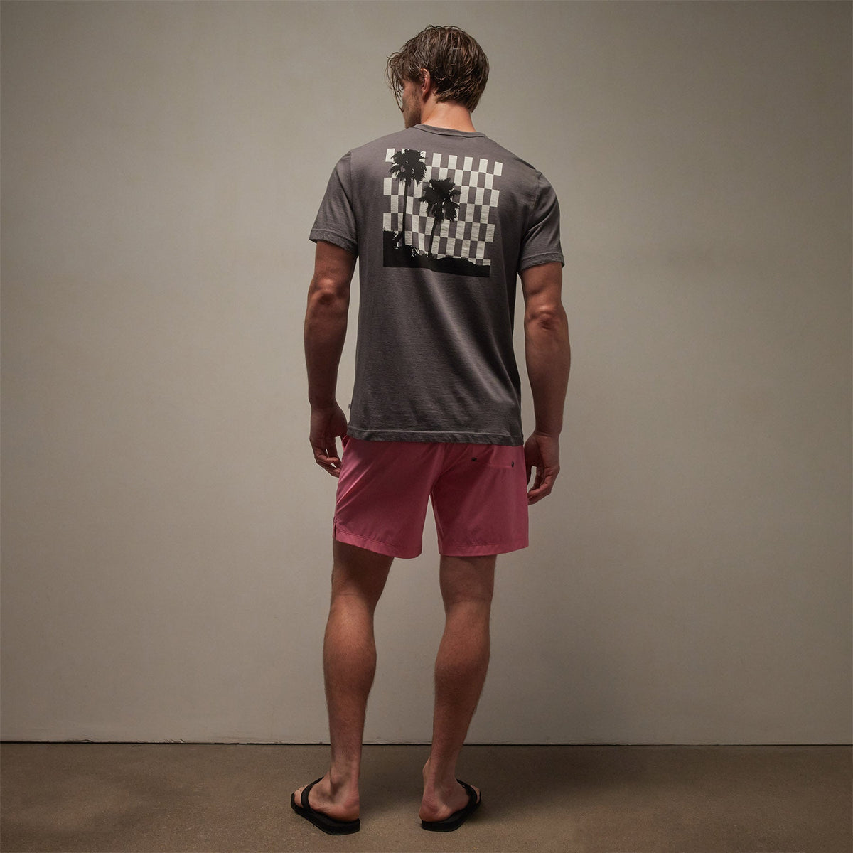 Short Sleeve Crew Palm Springs Graphic in Raccoon Grey/White | James Perse Los Angeles