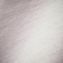 Malibu Shoreline Graphic Crew in White | James Perse Los Angeles