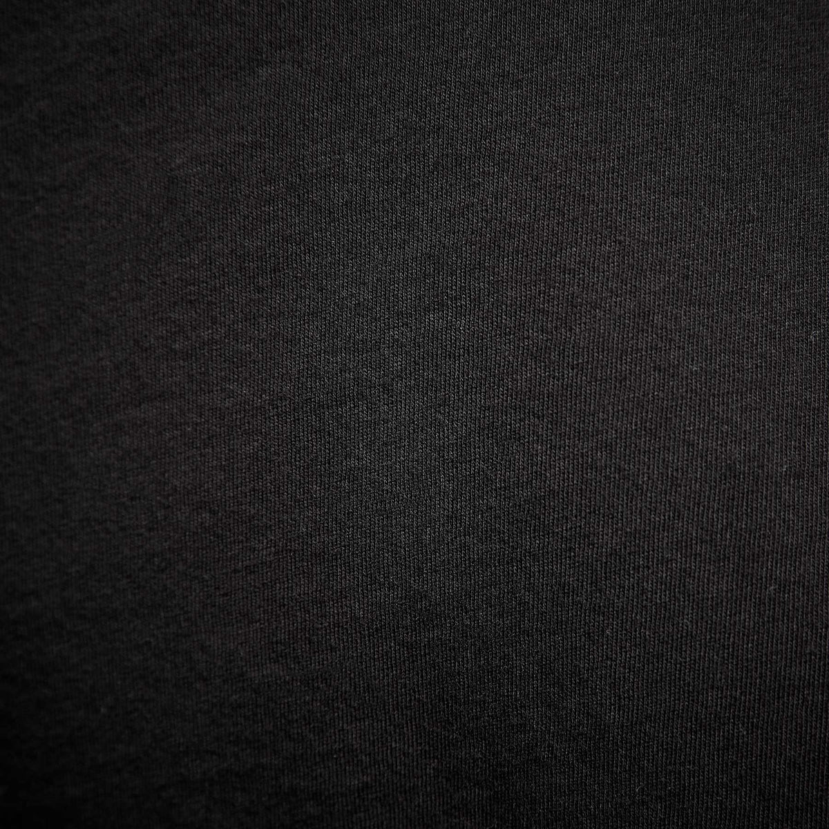 Y/OSEMITE Long Sleeve Crew Neck in Black | James Perse Los Angeles