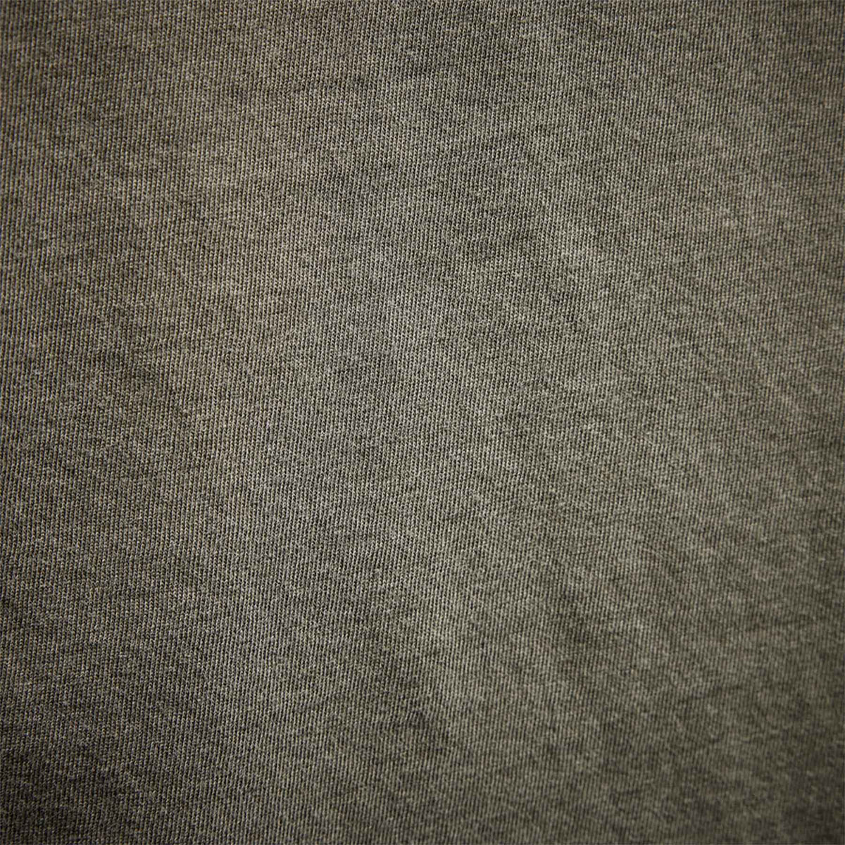 Long Sleeve Crew Neck Ca Yosemite in Platoon Pigment | James Perse Los Angeles