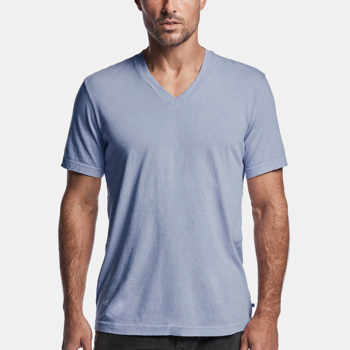 Short Sleeve V Neck in Aura Pigment | James Perse Los Angeles