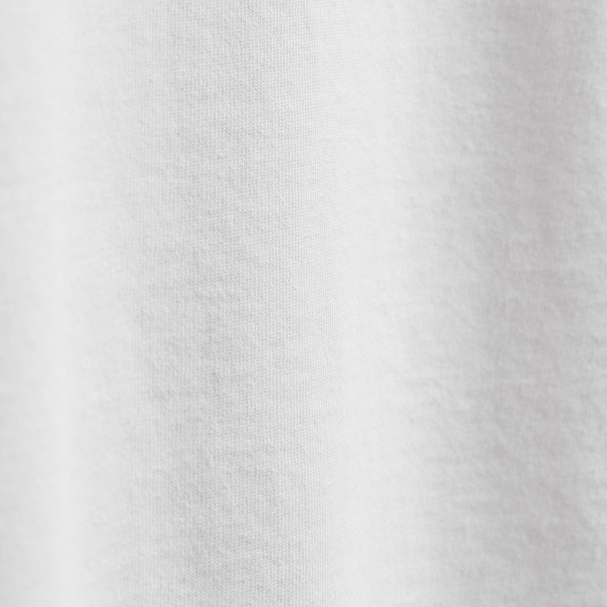 Heavy Luxe Jersey Crew in White | James Perse Los Angeles FLAT