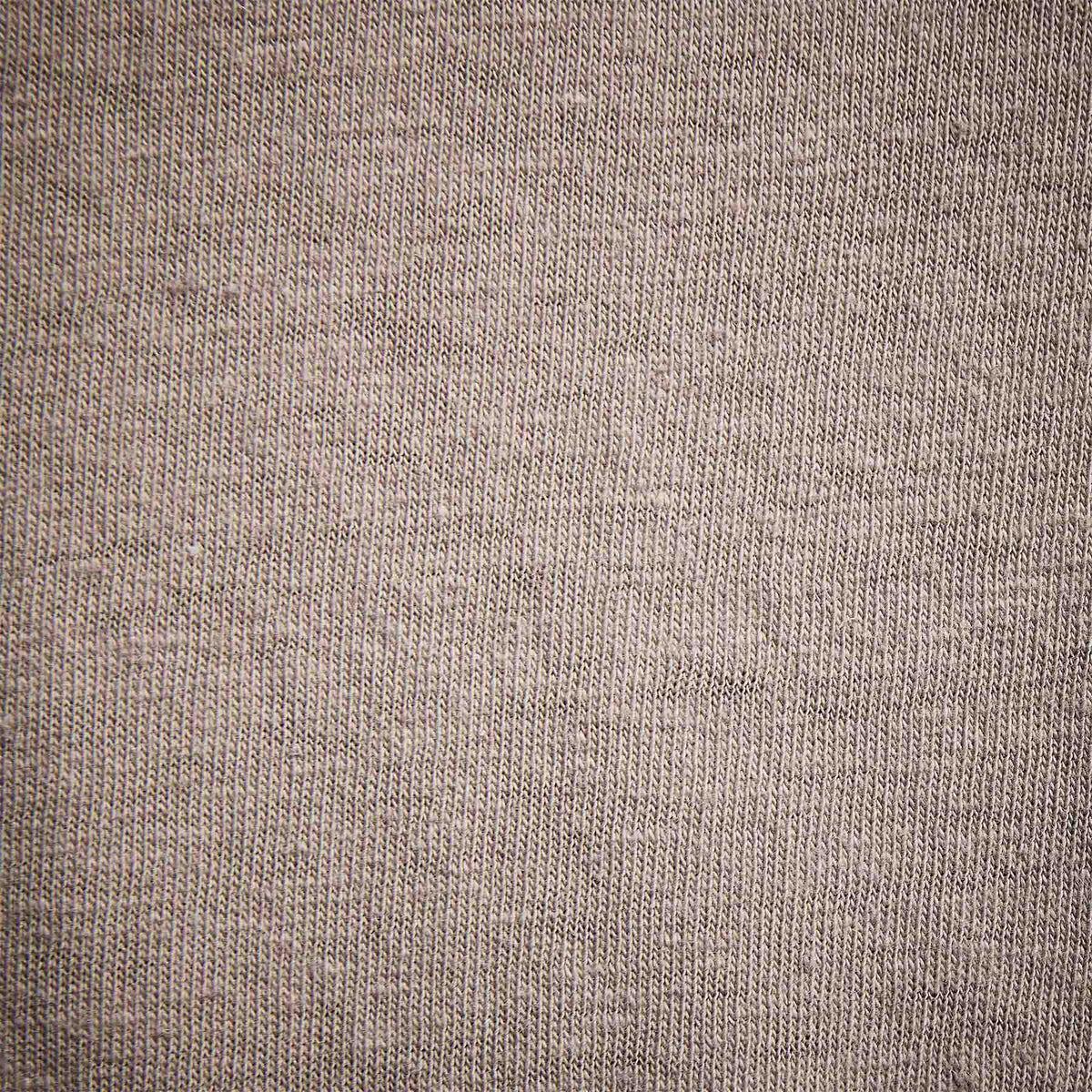 Soft Slub Jersey Raglan Shirt in Silt | James Perse Los Angeles 