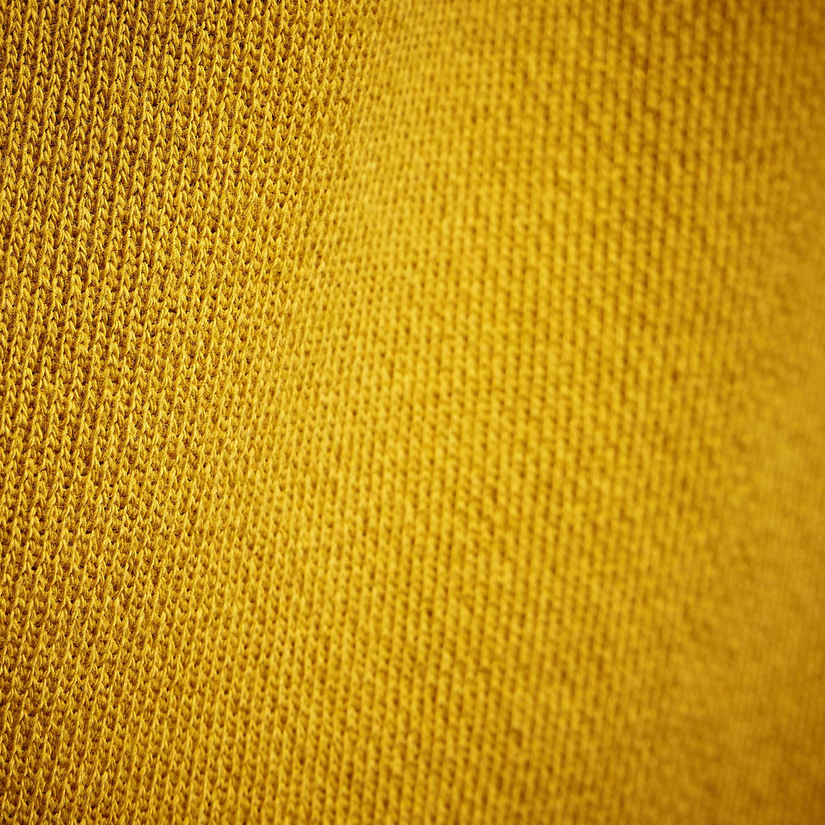 Y/OSEMITE French Terry Sweatpant in Crocus Yellow | James Perse Los Angeles