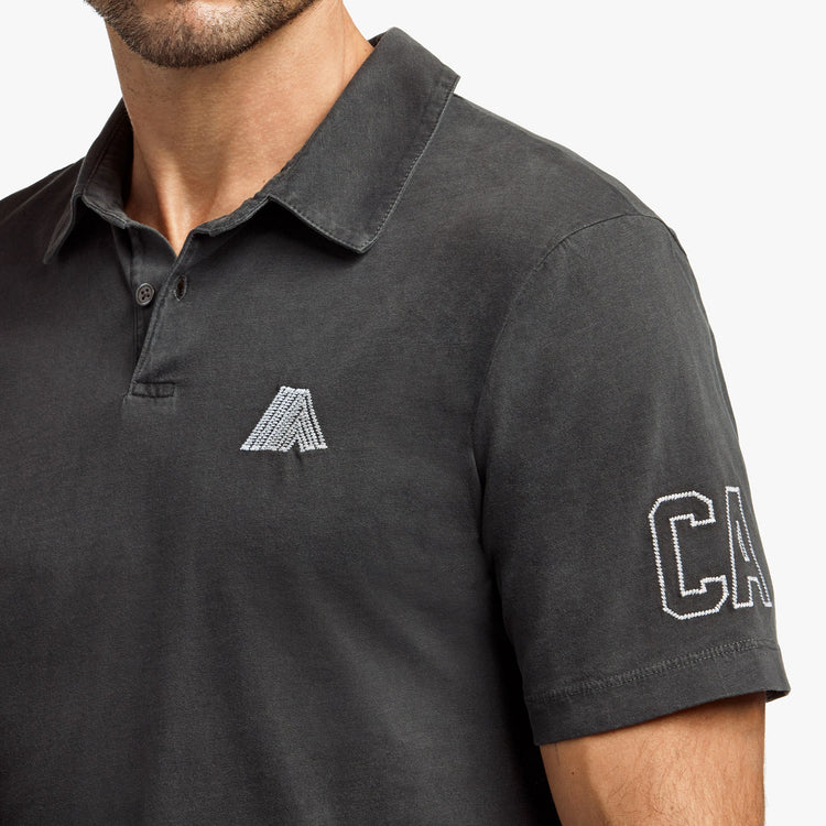 Sueded Jersey Mountain Graphic Polo In Carbon Pigment | James Perse Los Angeles