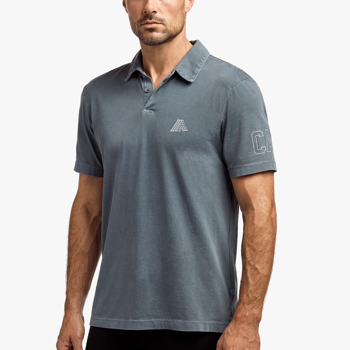 Sueded Jersey Mountain Graphic Polo In North Pigment | James Perse Los Angeles