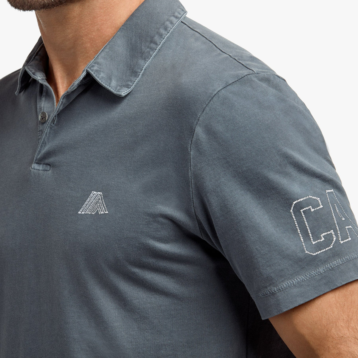 Sueded Jersey Mountain Graphic Polo In North Pigment | James Perse Los Angeles