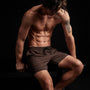 Y/OSEMITE Split Hem Board Short in Porcupine | James Perse Los Angeles 