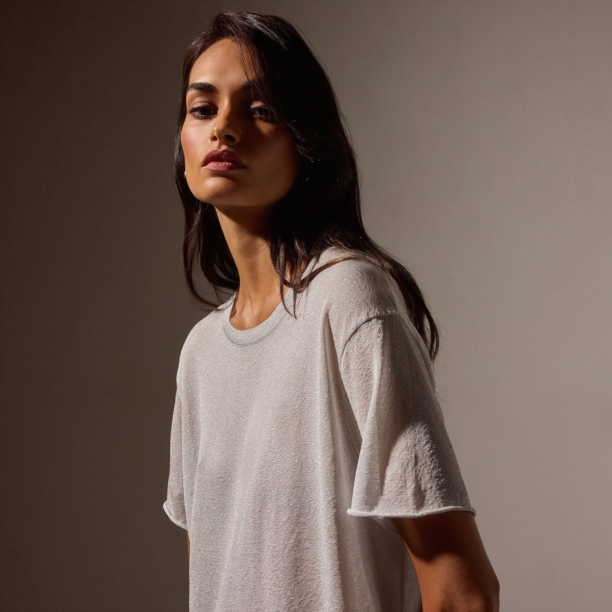Metallic Knit Short Sleeve Crew in Silver | James Perse Los Angeles