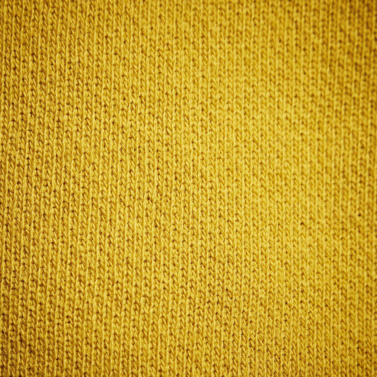 Y/OSEMITE Graphic Pullover Hoodie in Crocus Yellow | James Perse Los Angeles