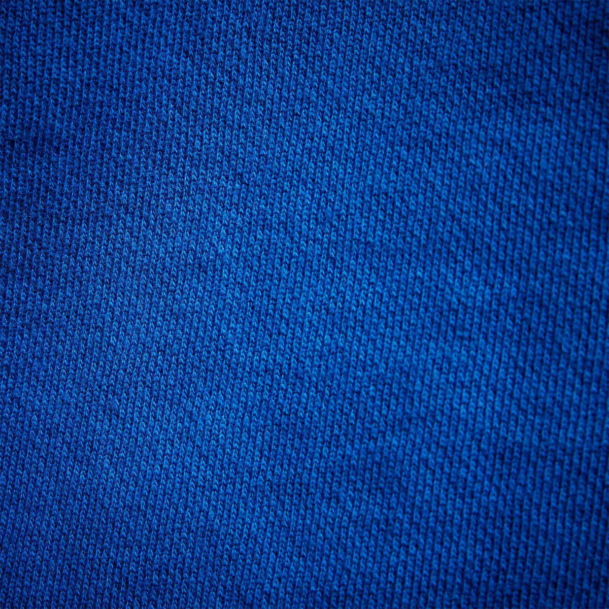 Y/Osemite Graphic Pullover Hoody in Royal Blue/White | James Perse Los Angeles