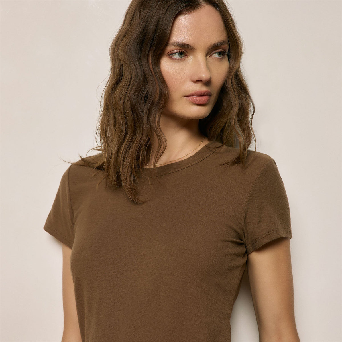 Sheer Slub Crew Neck Tee in Cocoa | James Perse Los Angeles