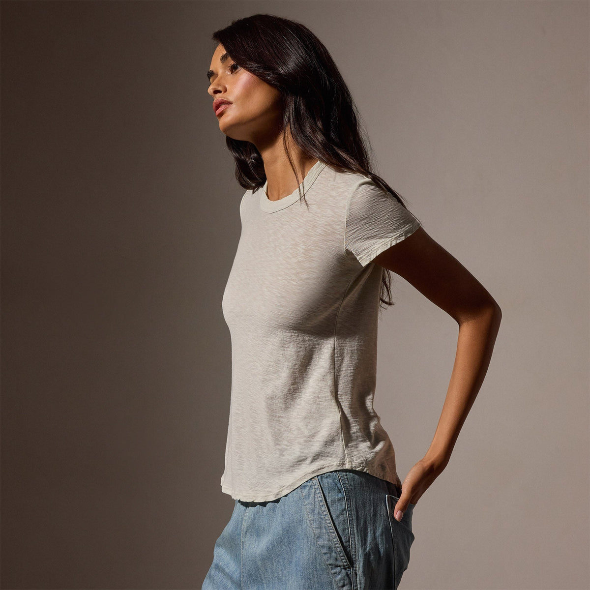 Sheer Slub Crew Neck Tee in Frost | James Perse Los Angeles