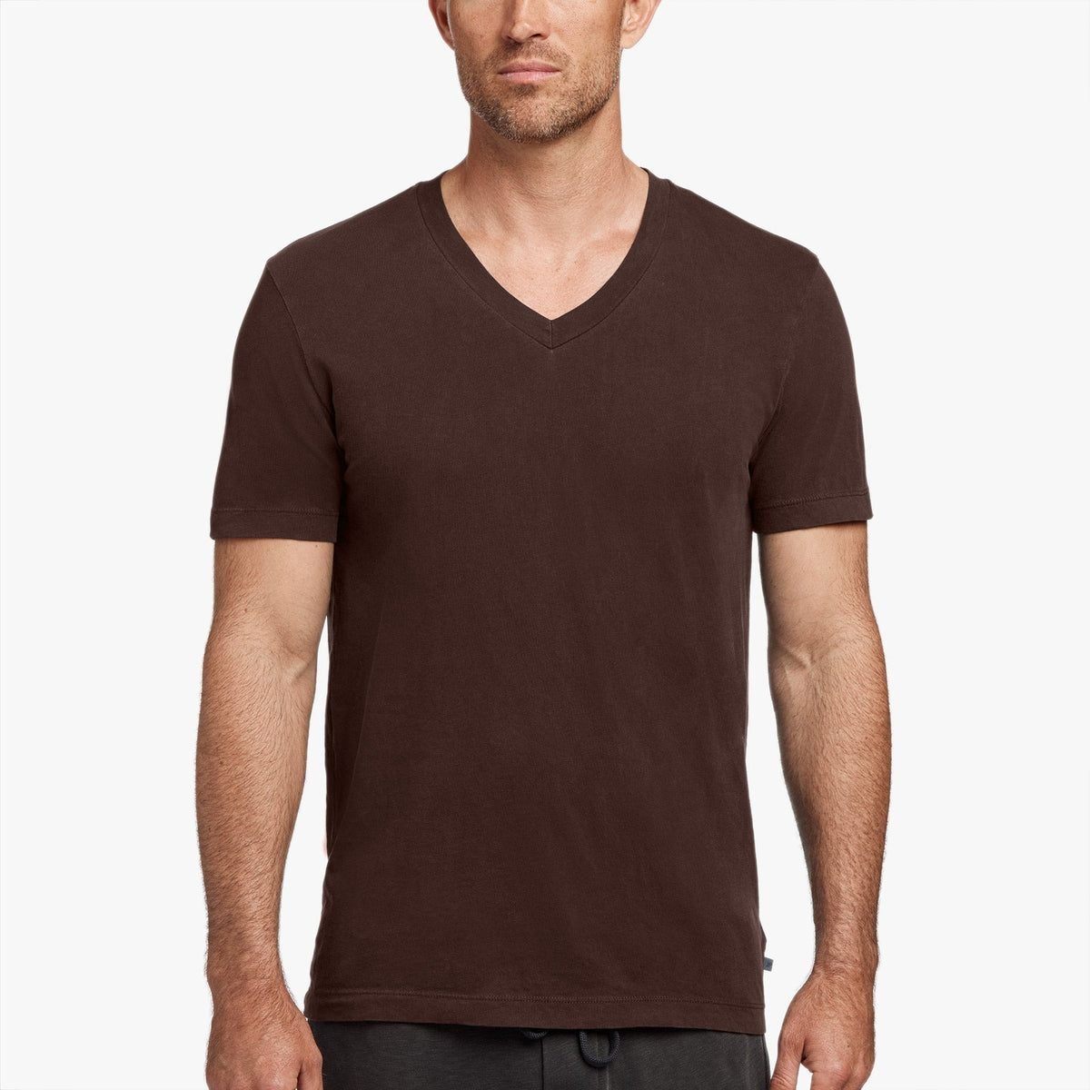 Short Sleeve V Neck in Cherrywood | James Perse Los Angeles