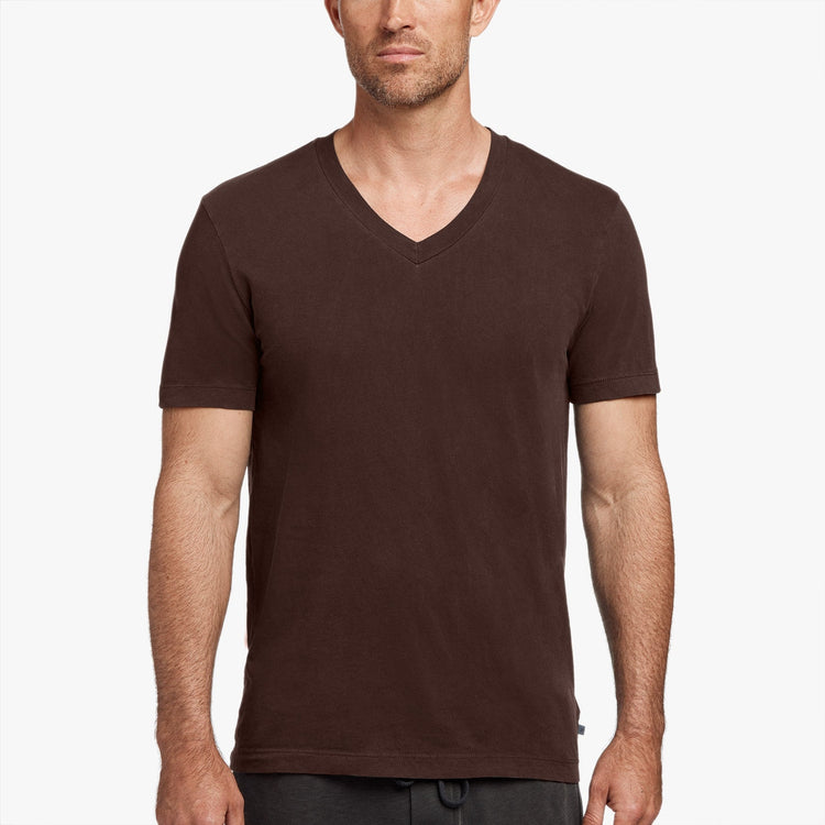 Short Sleeve V Neck in Cherrywood | James Perse Los Angeles